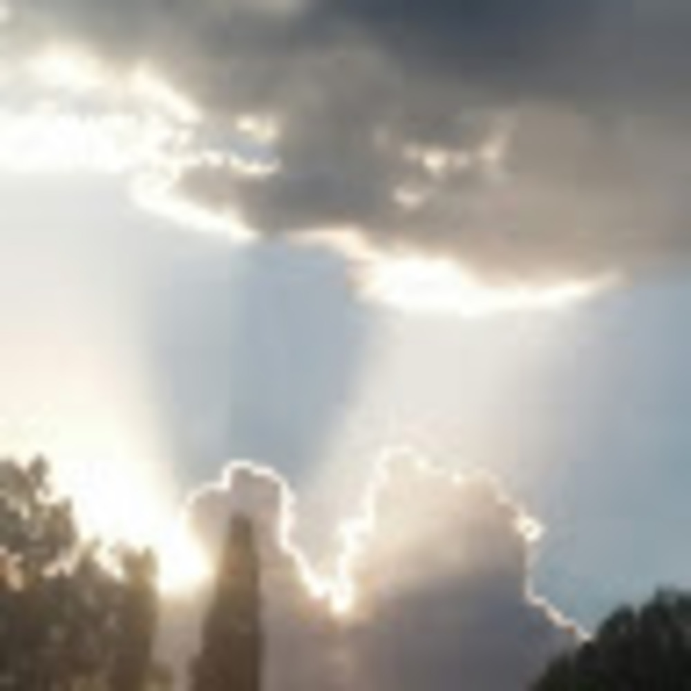 Meet your Posher, Cindi